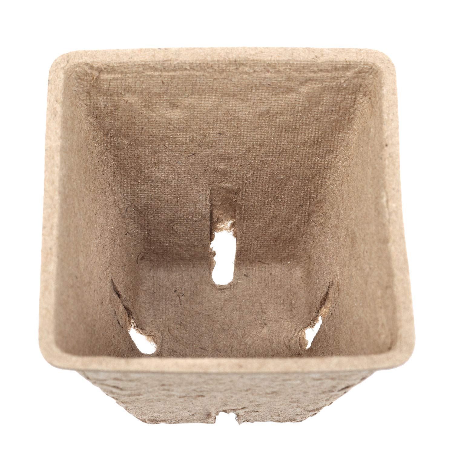 Schramm® Vasi da semina 20, 60 o 100 pezzi in cellulosa Altezza: 5,5 cm vaso per piante biodegradabile Vasi per piante, Anzahl:60 Stück