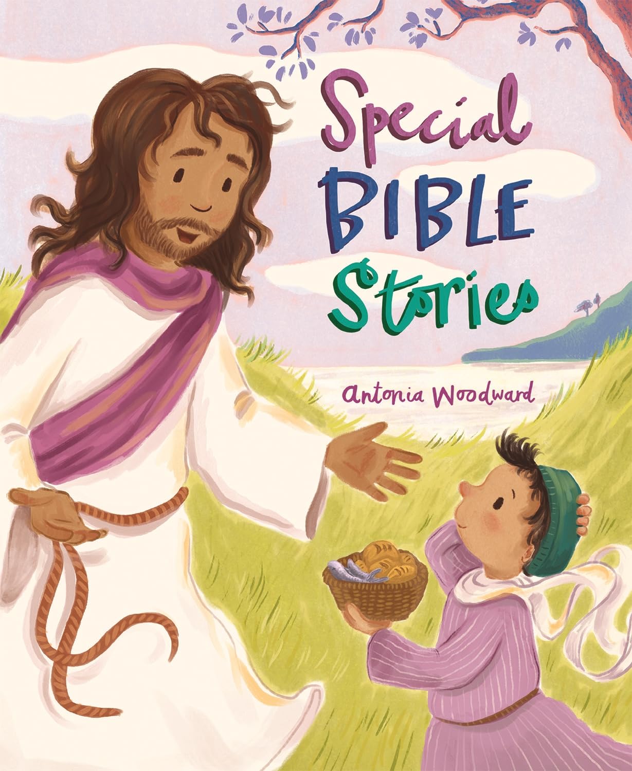 Special Bible Stories by Antonia Woodward HARDBACK 9780745978857