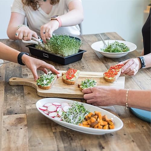 Miniatura 5 de HAMAMA Home Microgreens Kit de cultivo para cultivar microverdes frescos en interiores cada semana, preparación en 30 segundos, simplemente añade