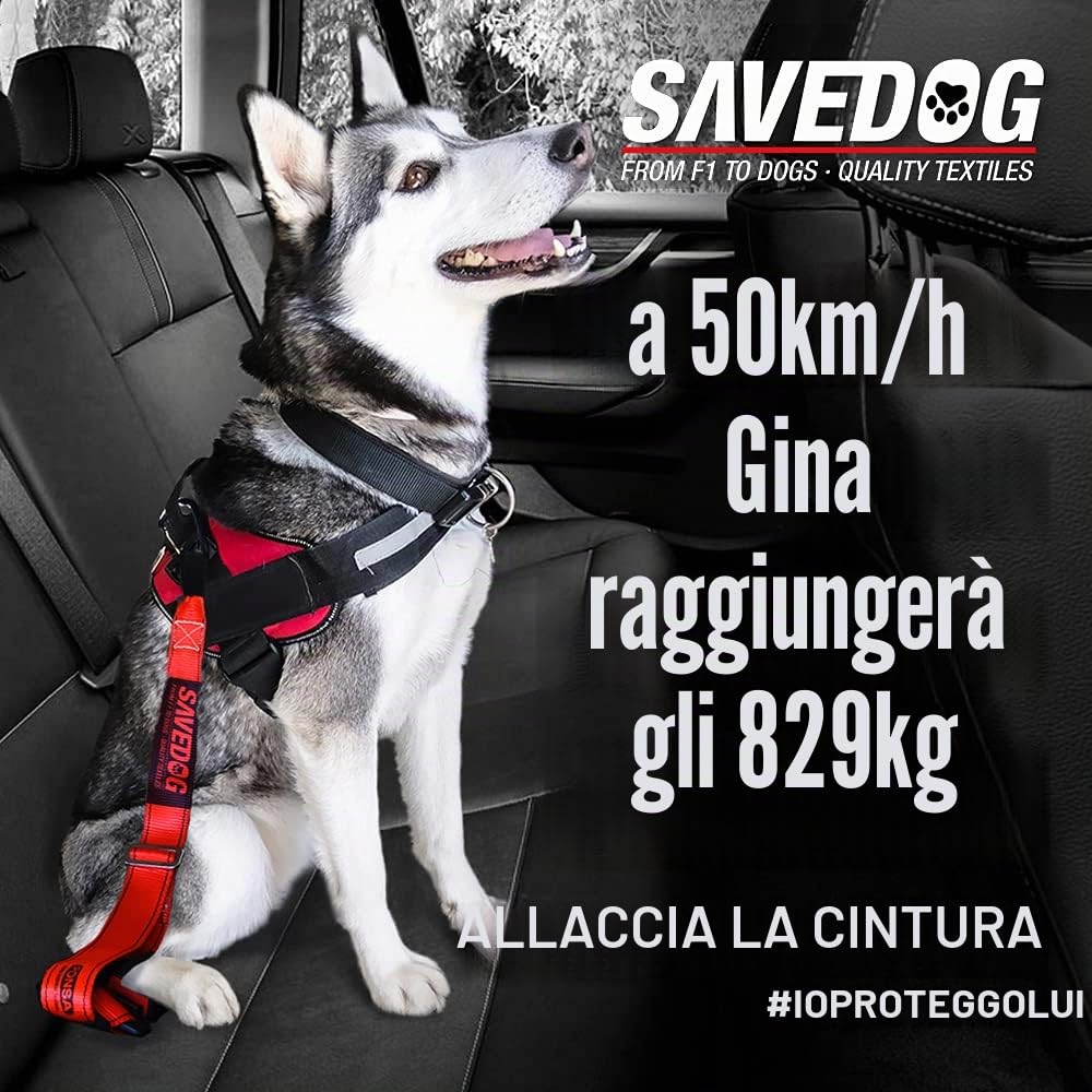 SAVEDOG Guinzaglio di sicurezza per cani e auto. La chingia più sicura sul mercato, resiste 1.000 kg Conforme alla norma ISO 27955: 2010 Rif.027172050102