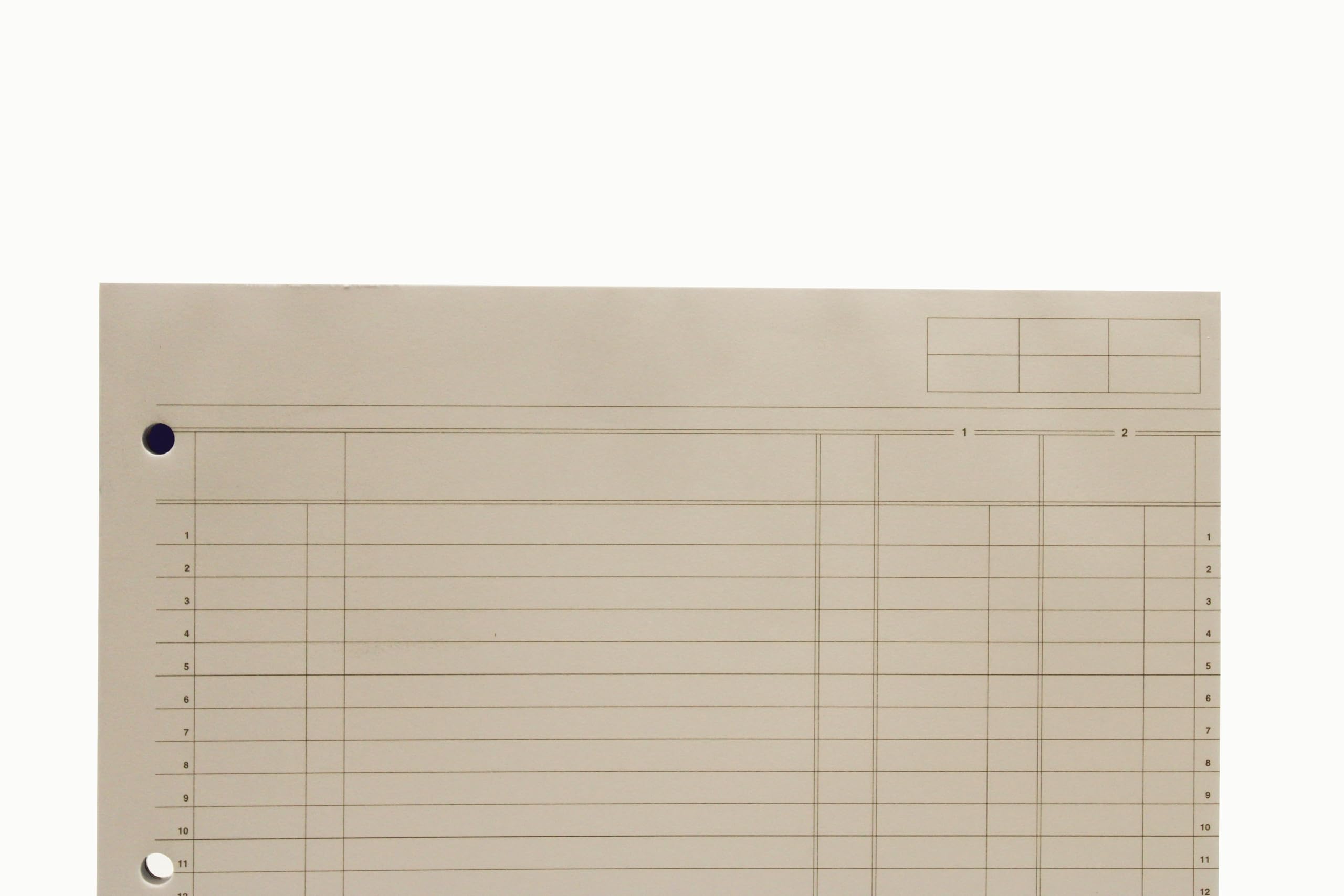 Guildhall Spaltenblock 2 Finanzspalten 41 Zeilen fein liniert 4-fach Lochung 60 Blatt A4
