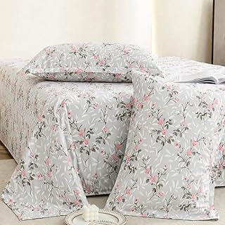 Jaipur Weaves Cotton King Size Bedsheet 108x108 Super King, 100% Pure Cotton Bed Sheet with 2 Pillow Covers, 240 TC Soft B Price In India