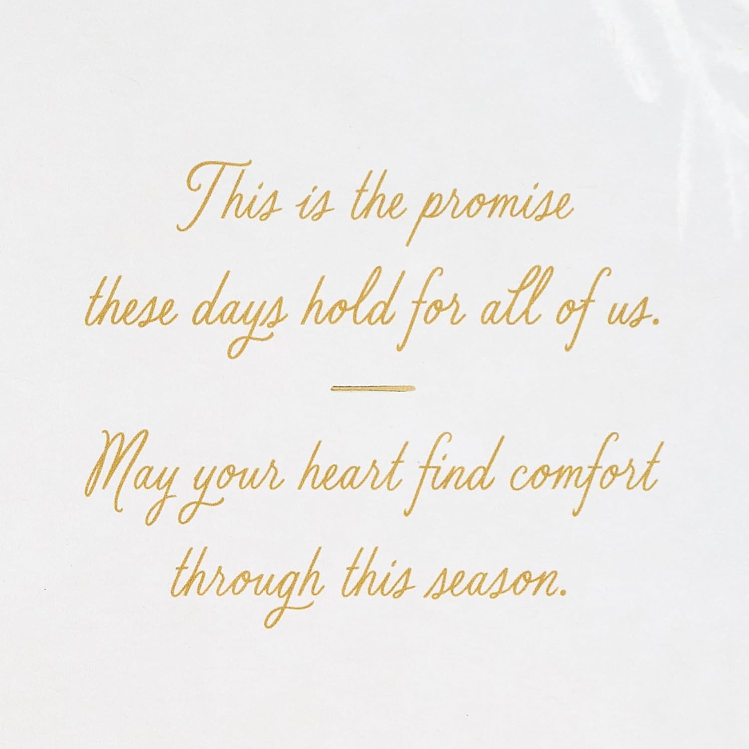 Hallmark Holiday Sympathy Card (May Your Heart Find Comfort) image 3
