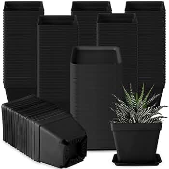 Willing plant ordinal pot W.P-004 Mix⑧ Willing plant ordinal pot W.P-004 Mix⑧