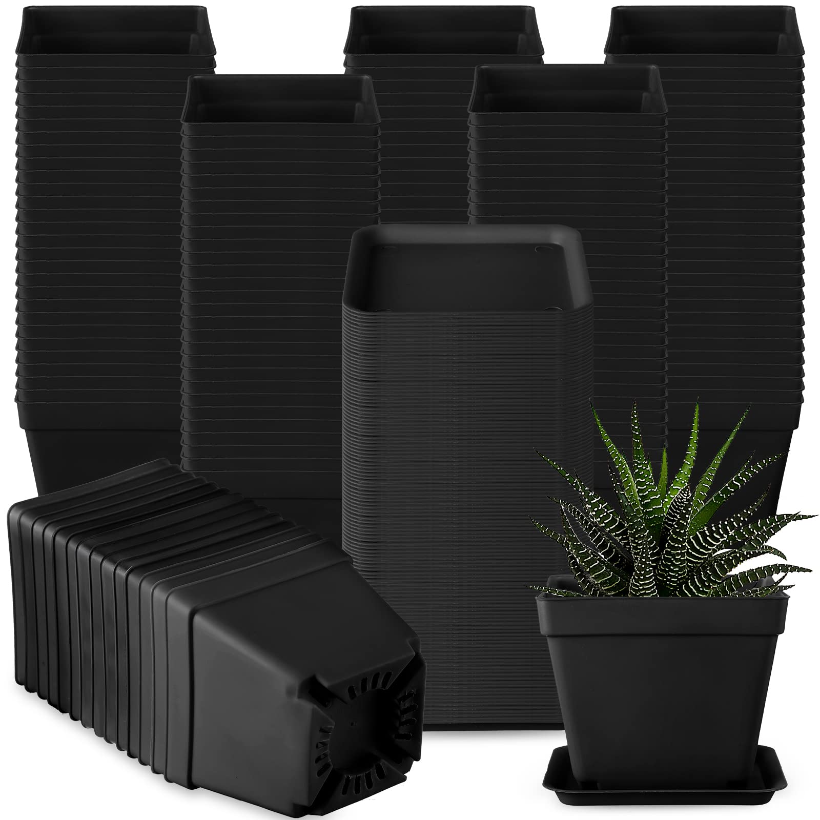 Willing plant ordinal pot W.P-004 Mix⑧ Amazon.com: KINGLAKE 100 Pcs 4