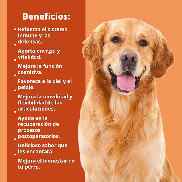 Foto 4 de 7 de NEO DOGS - Complemento Nutricional Líquido Omega 3 para Perros - con Aceite de Salmón Puro