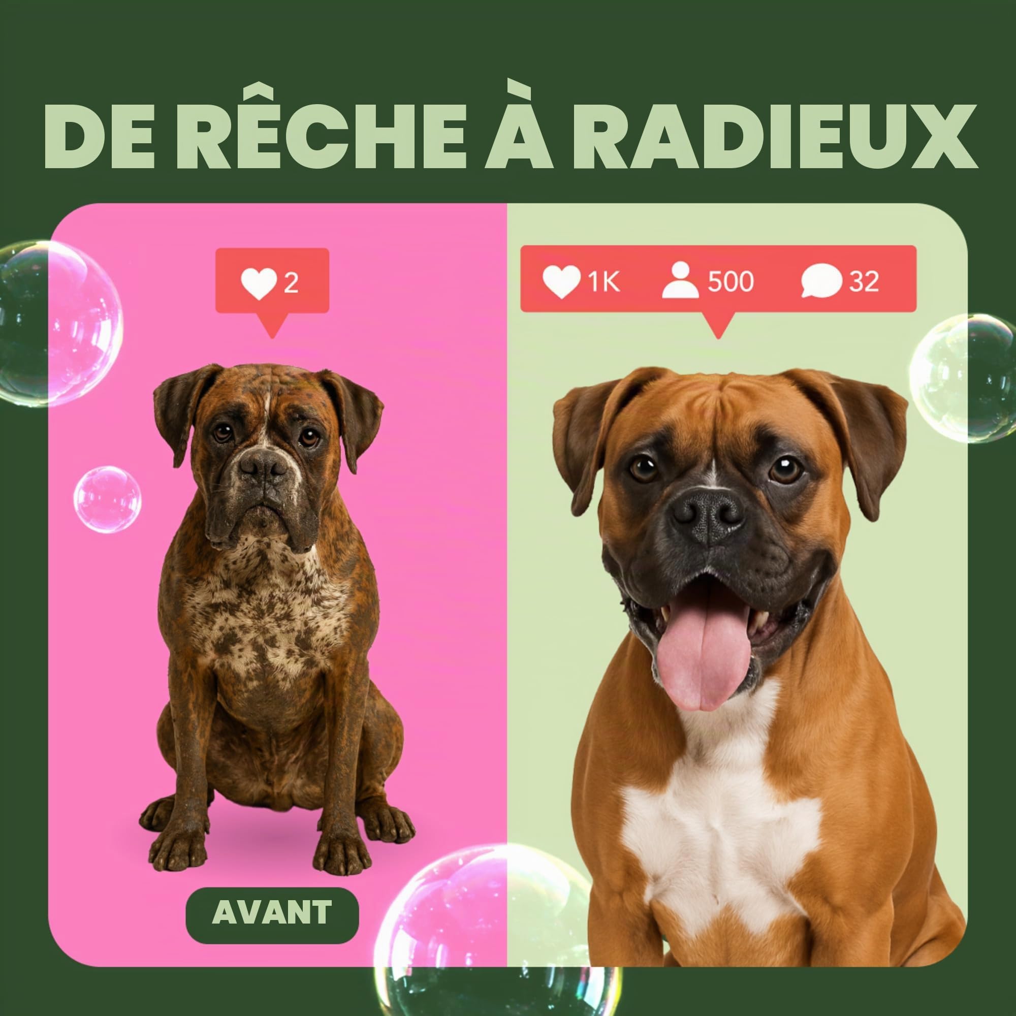 TropiClean Shampooing pour chiens et chats, nettoie et hydrate en profondeur, à base d’ingrédients naturels - Baies et noix de coco, 3,8 L