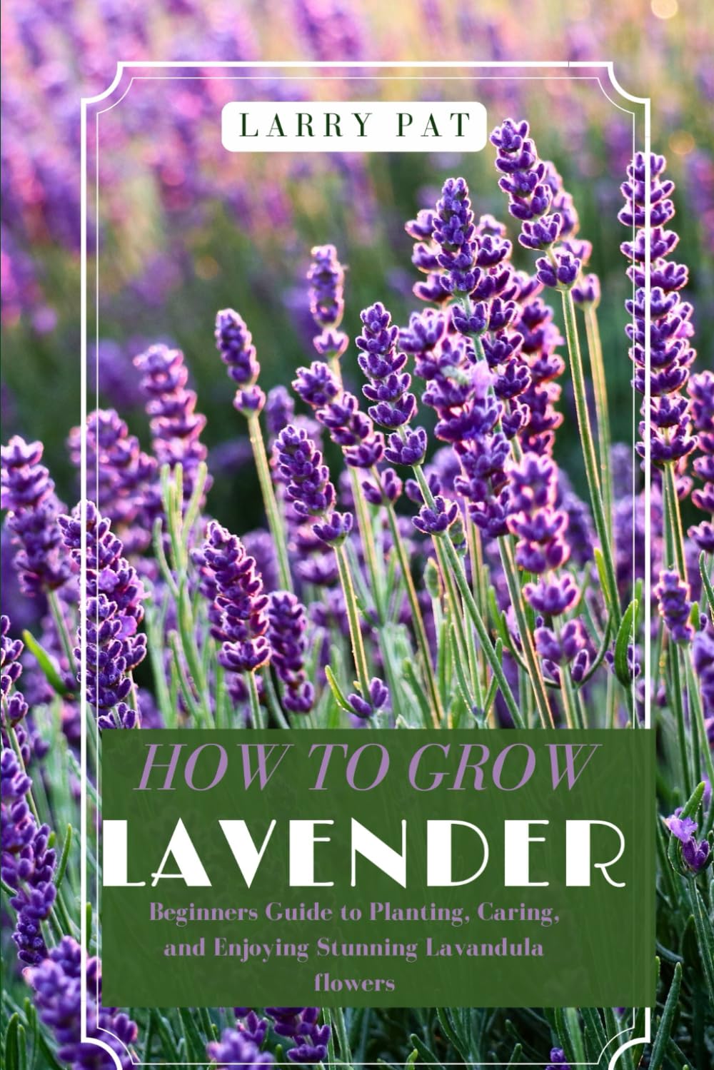 HOW TO GROW LAVENDER: Beginners guide to planting, caring and enjoying stunning lavandula flowers