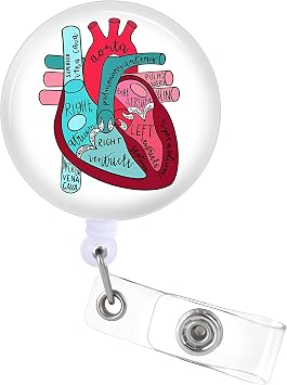 Plifal Badge Reels Holder Retractable with ID Clip for Nurse Name Tag Card Heart Cardiac Anatomy Cardiology Nursing Doctor Medical Work Office Alligator Clip ZJK-092320