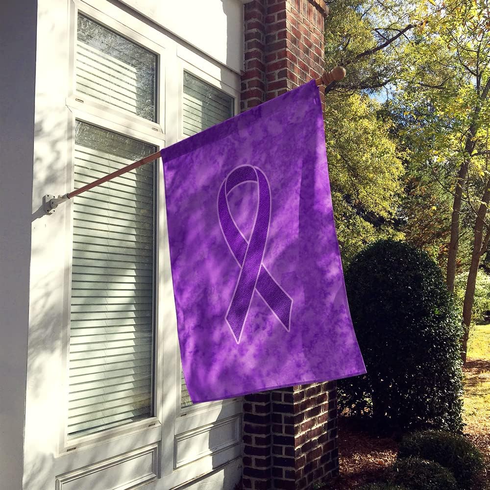 Caroline's Treasures AN1207CHF Purple Ribbon for Pancreatic and Leiomyosarcoma Cancer Awareness Flag Canvas House Size, House Size, Multicolor