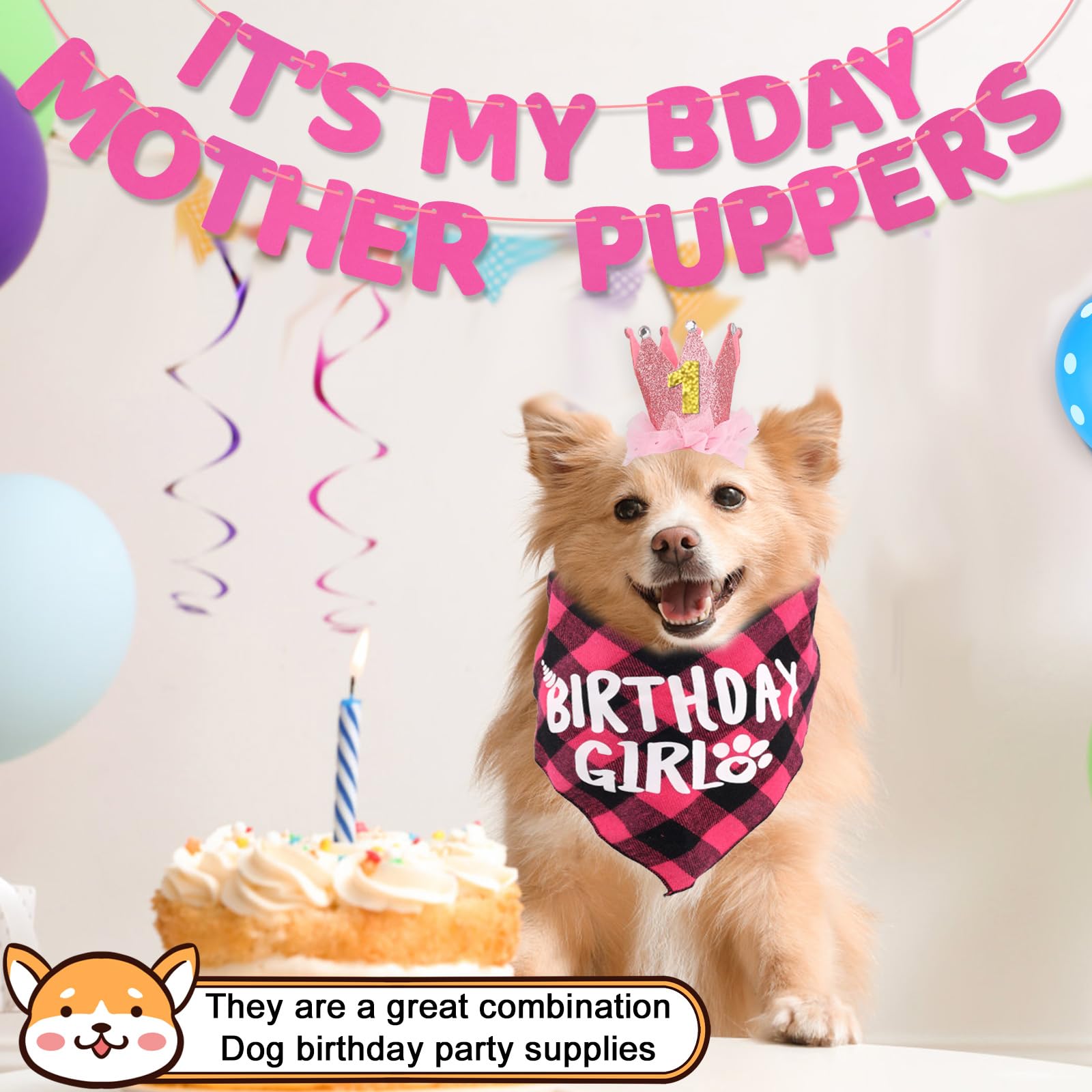 Birthday Party Best Dog Birthday Gift Ideas The Top 20 Ideas About