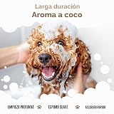 Ver la foto 4
