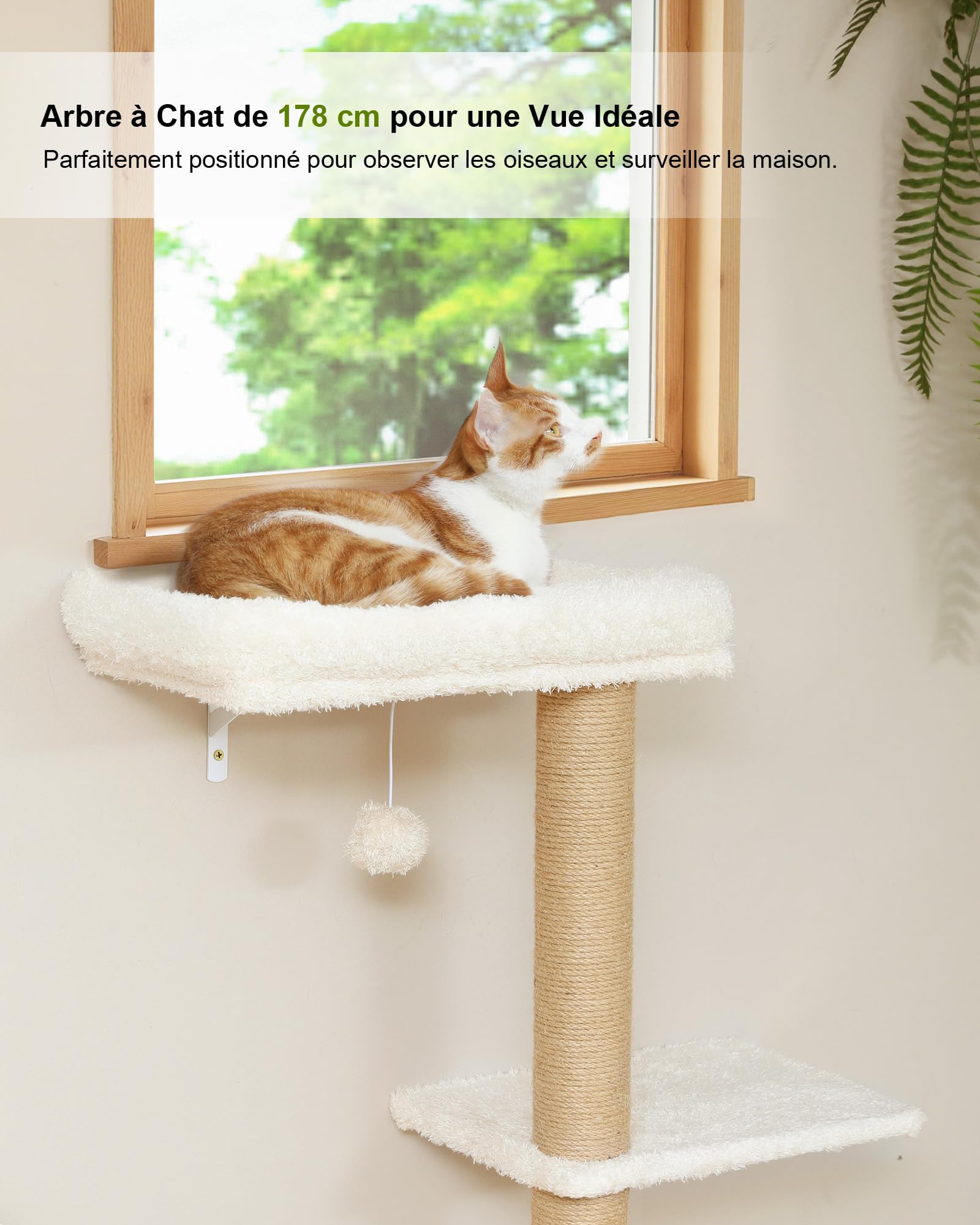 FUKUMARU Étagères Murales pour Chat,Ensemble de Meubles Stables Fixés au Mur pour Chats, Grattoir avec Perche Coussinée Douce, Mur d'escalade, Beige