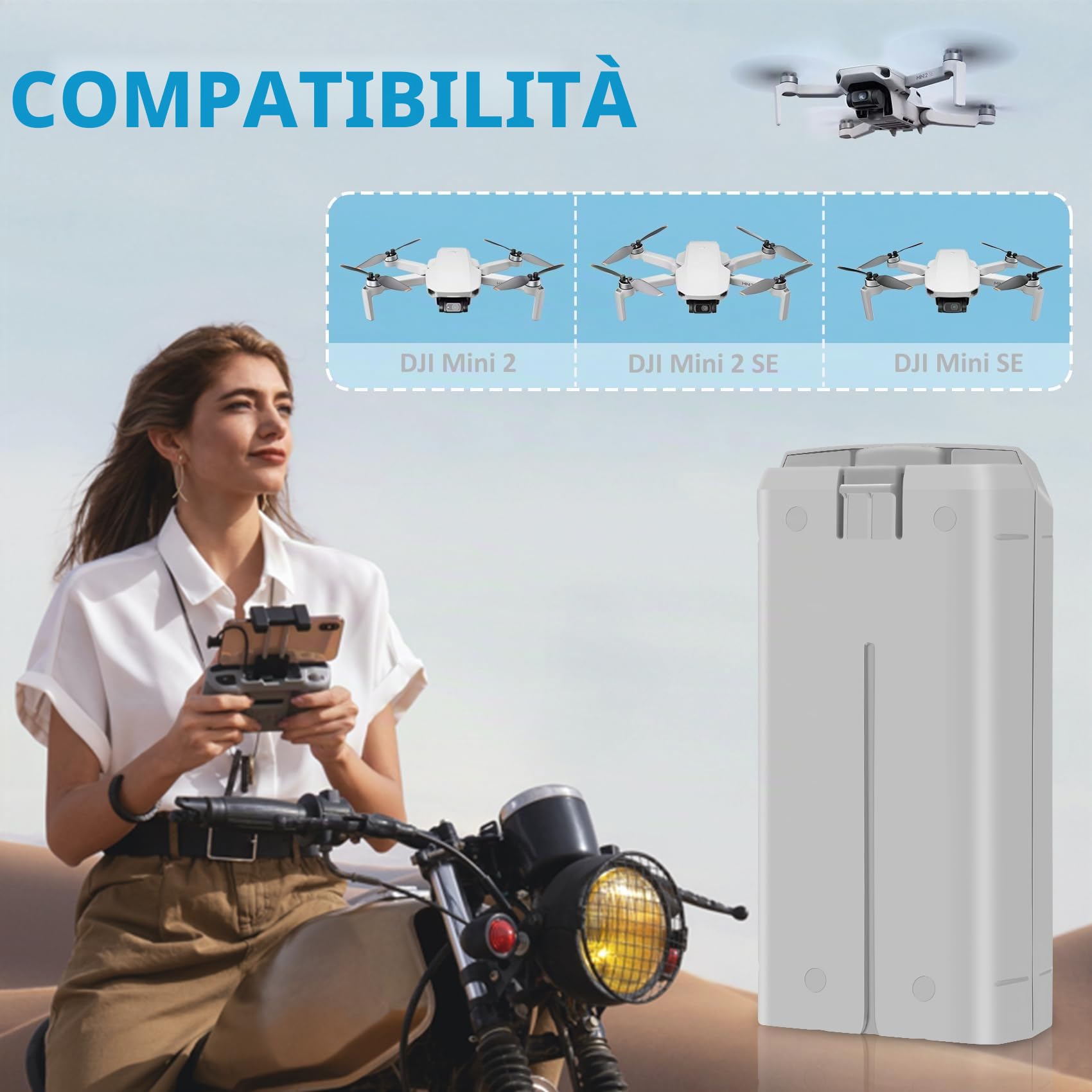 Fantasyo Volo intelligente Mini 2 Batteria Mini 4K Batteria 2 Pezzi 2400mAh e caricabatterie bidirezionale a 3 canali con display LCD Completamente compatibile con DJI Mini 4K/2/2 SE/SE