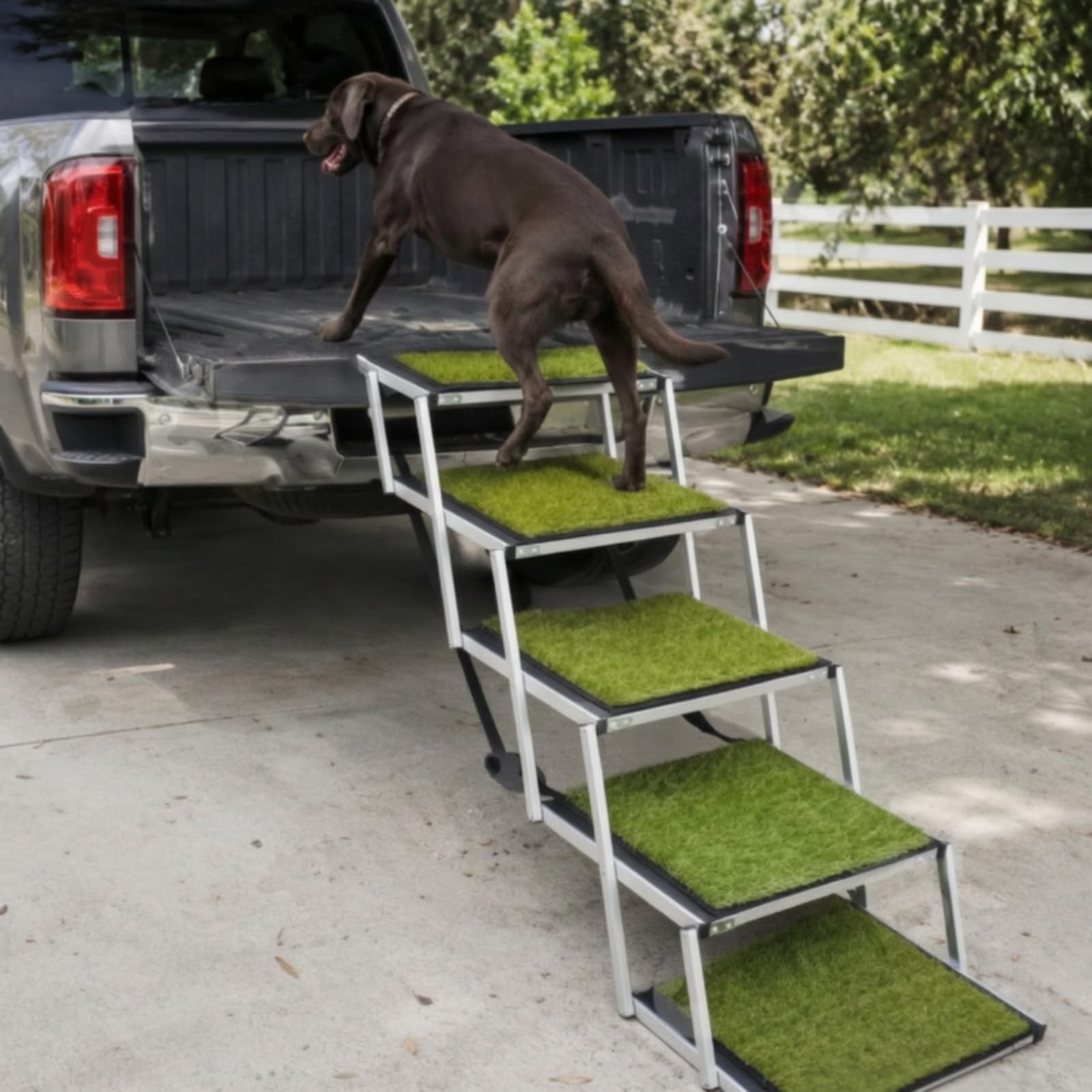 rockible Rampa Pieghevole Scivolo Antiscivolo per Cani Anziani, Auto, Bagagliaio,