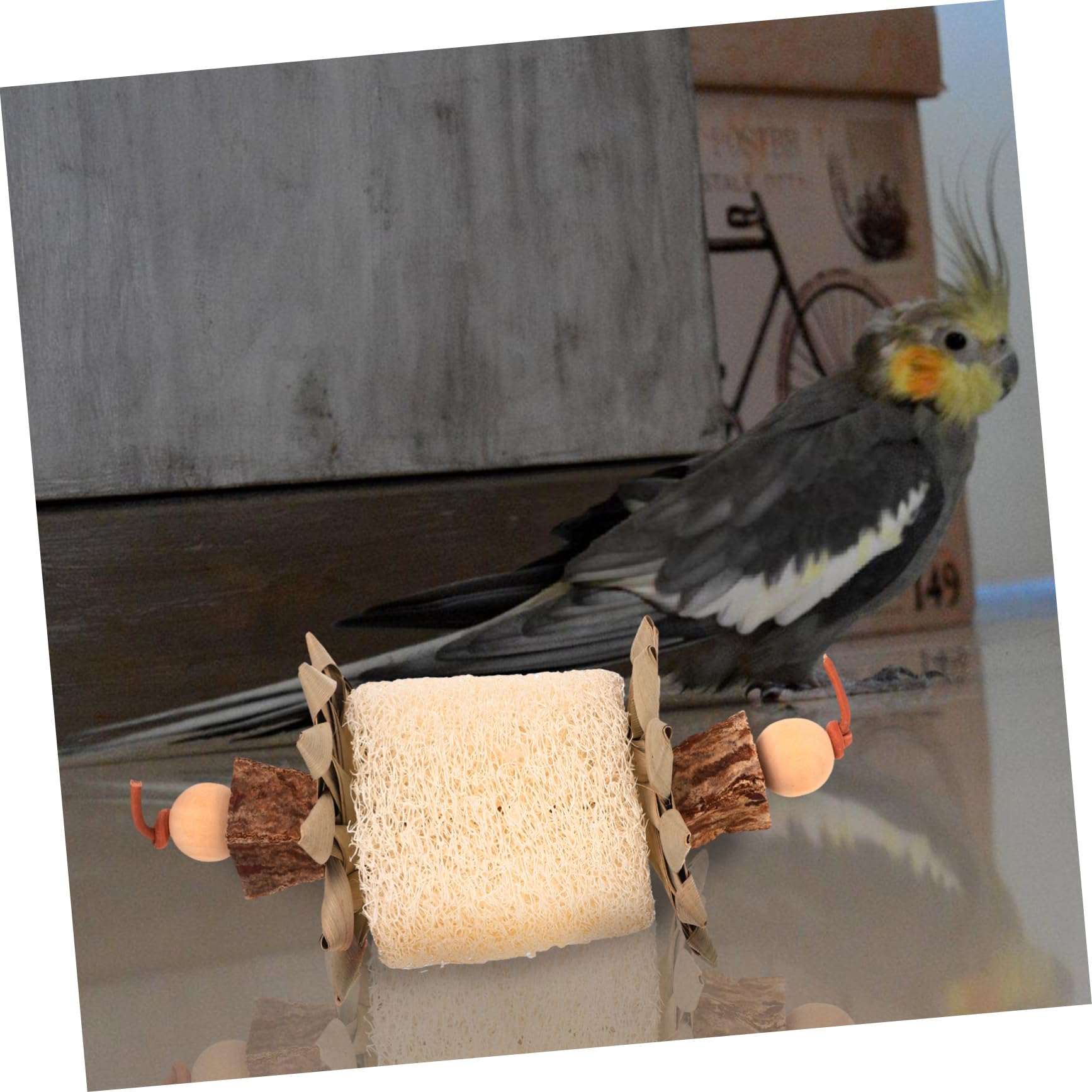 COLLBATH Jouets À Mâcher pour Oiseaux Jouet pour Perroquet À Mordre pour Oiseaux pour Perruche Suspendu pour Cage Amusant Et Divertissant