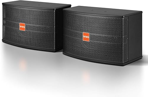 Sistema de audio de karaoke