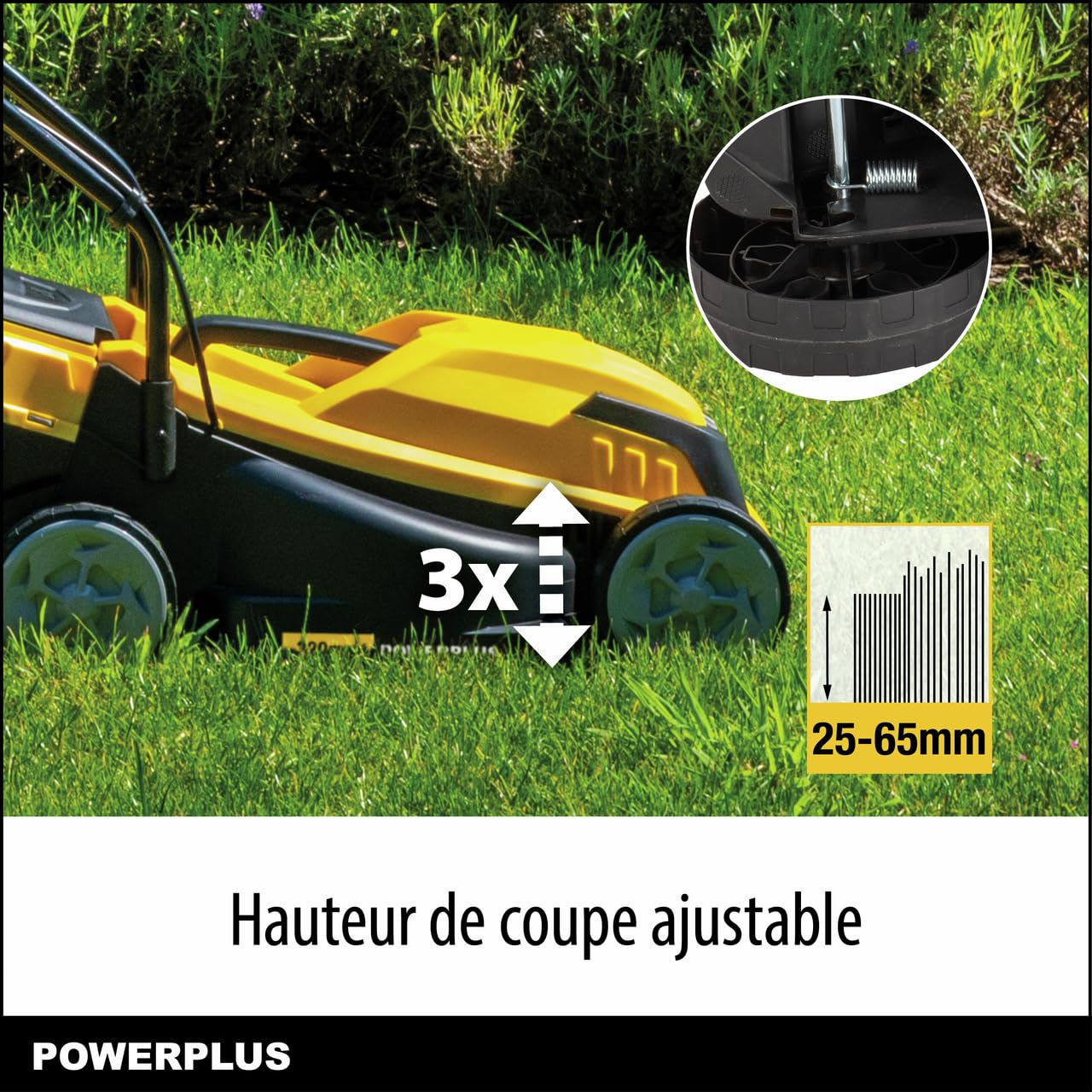 Tondeuse a Gazon électrique - POWERPLUS - POWEG62203-1000 W - 320 mm Ø - avec ramassage et éjection Arriere