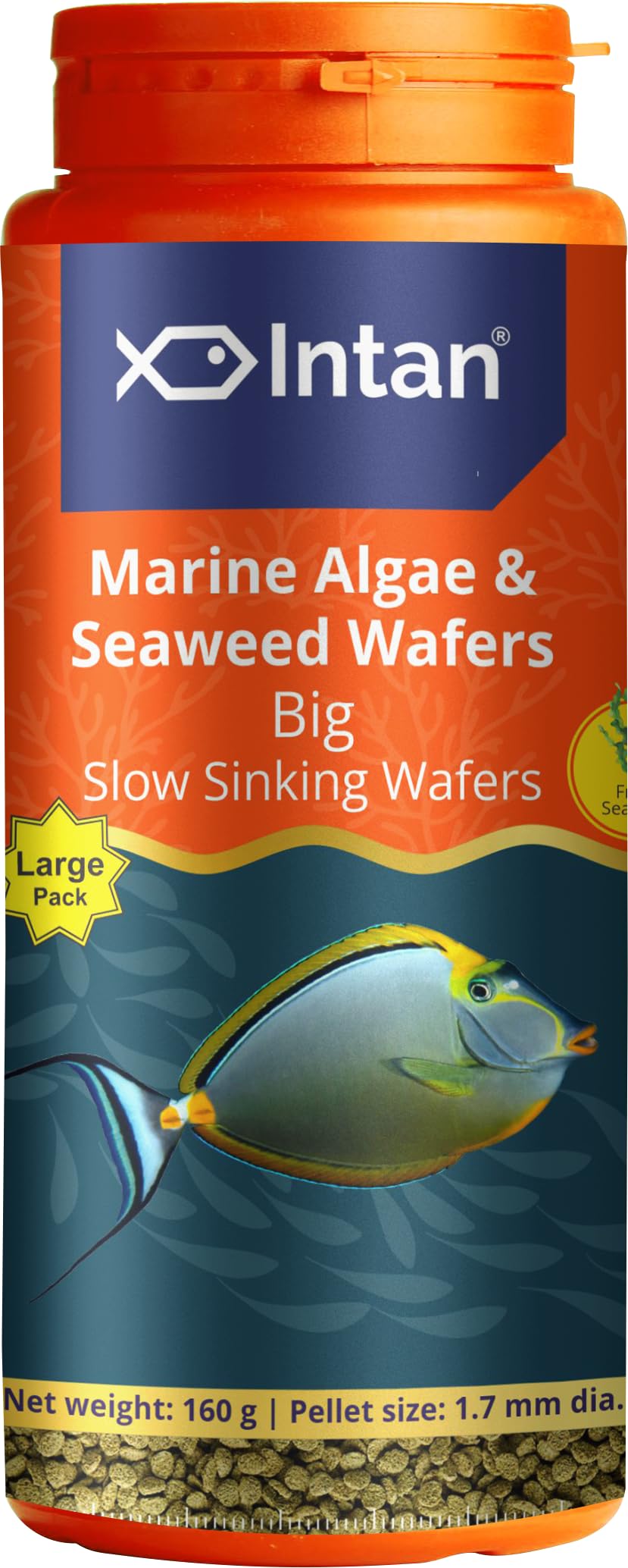 See full amazon price history chart for Aquatic Intan Marine Algae & Seaweed wafers Big | Slow Sinking Wafers for Marin Fish | Large Pack 160 Gram, 1.7 mm Dia Aquatic Intan Marine Algae & Seaweed wafers Big | Slow Sinking Wafers for Marin Fish | Large Pack 160 Gram, 1.7 mm Dia (B0CSW68K7W) Amazon Price History, Amazon Price Tracker