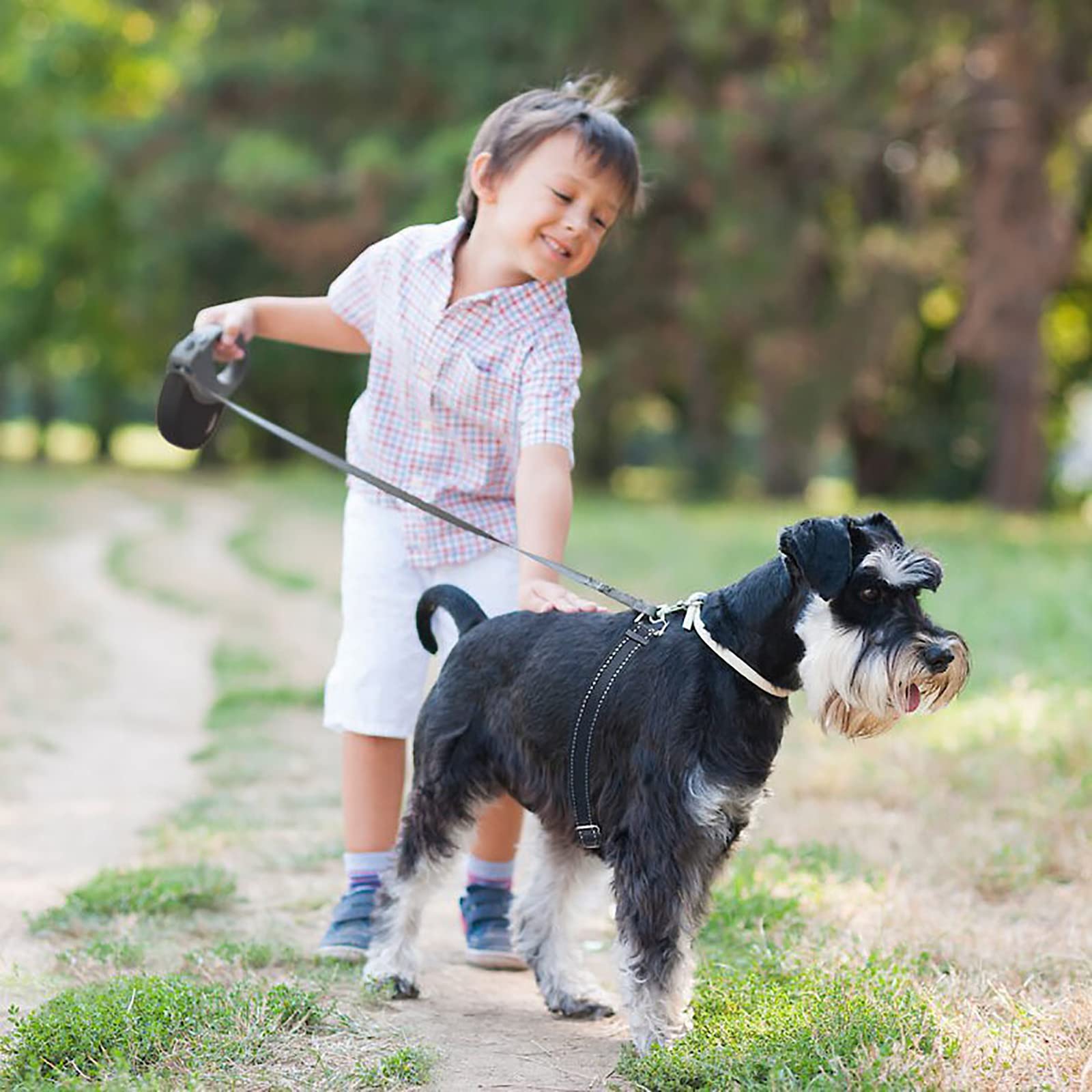 Generic Laisse rétractable pour Chien de 16,4 Pieds, très résistante, pour Chien ou Chat de Taille X-Small/Small/Medium/Large. Légère et Non emmêlante, Elle s'attache d'une Seule Main