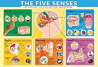 Vista 240 de Mapa de Europa