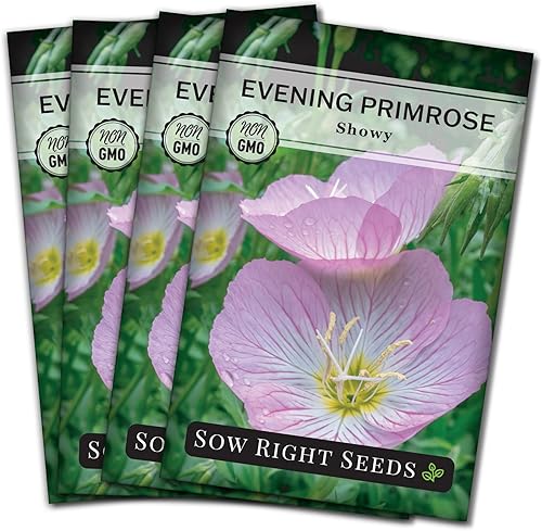 Sow Right Seeds - Semillas de flores de onagra llamativas para plantar - Paquete de reliquia sin OMG con instrucciones - Flor silvestre nativa para