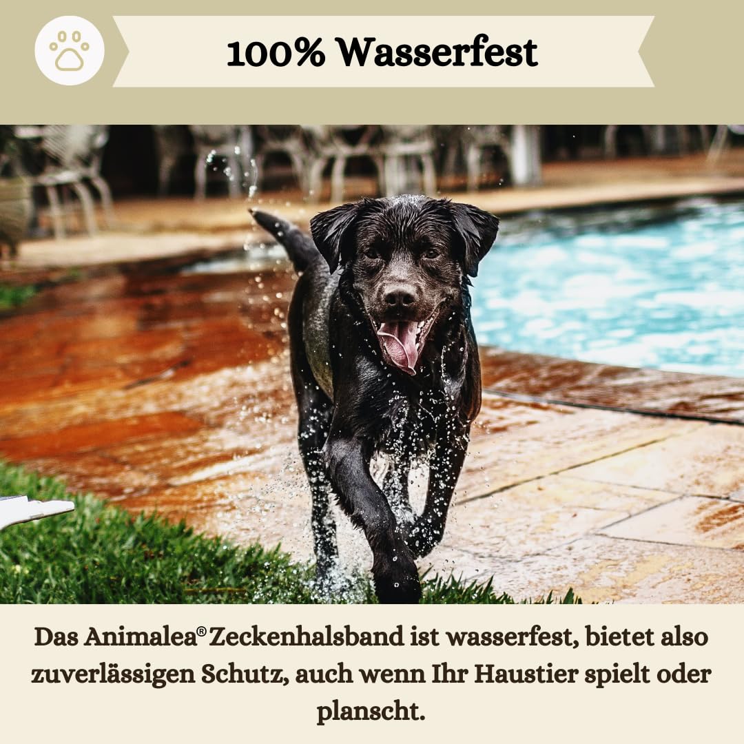 2er-Pack Zeckenhalsband für Hunde - 100% Ätherisches Öl - Wasserdicht & Verstellbar für Welpen & Hunde ab 7 Wochen - bis zu 16 Monate Schutz gegen Zecken Flöhe Mücken Läuse Sandmücken