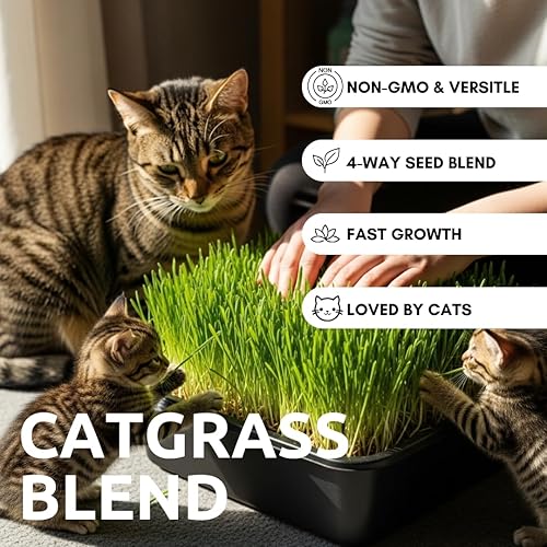 Miniatura 2 de Semillas de hierba de gato para cultivar  Mezcla de 4 vías, centeno, trigo, avena y cebada  Fabricado en Estados Unidos, se envía desde Iowa. (1