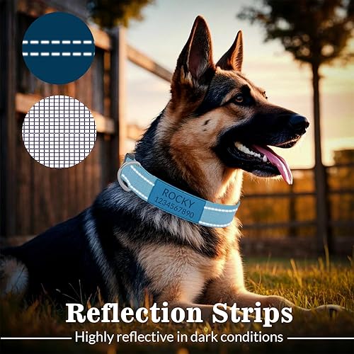 Miniatura 9 de Collares de perro personalizados personalizados con nombre de mascotanúmero de teléfono grabado hebilla de metal dorado  Tamaños ajustables Collar