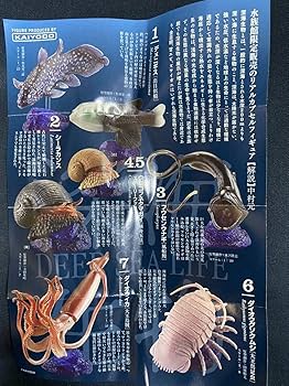 Amazon.co.jp: Deep Sea Creatures DEEP SEA LIFE Single Item