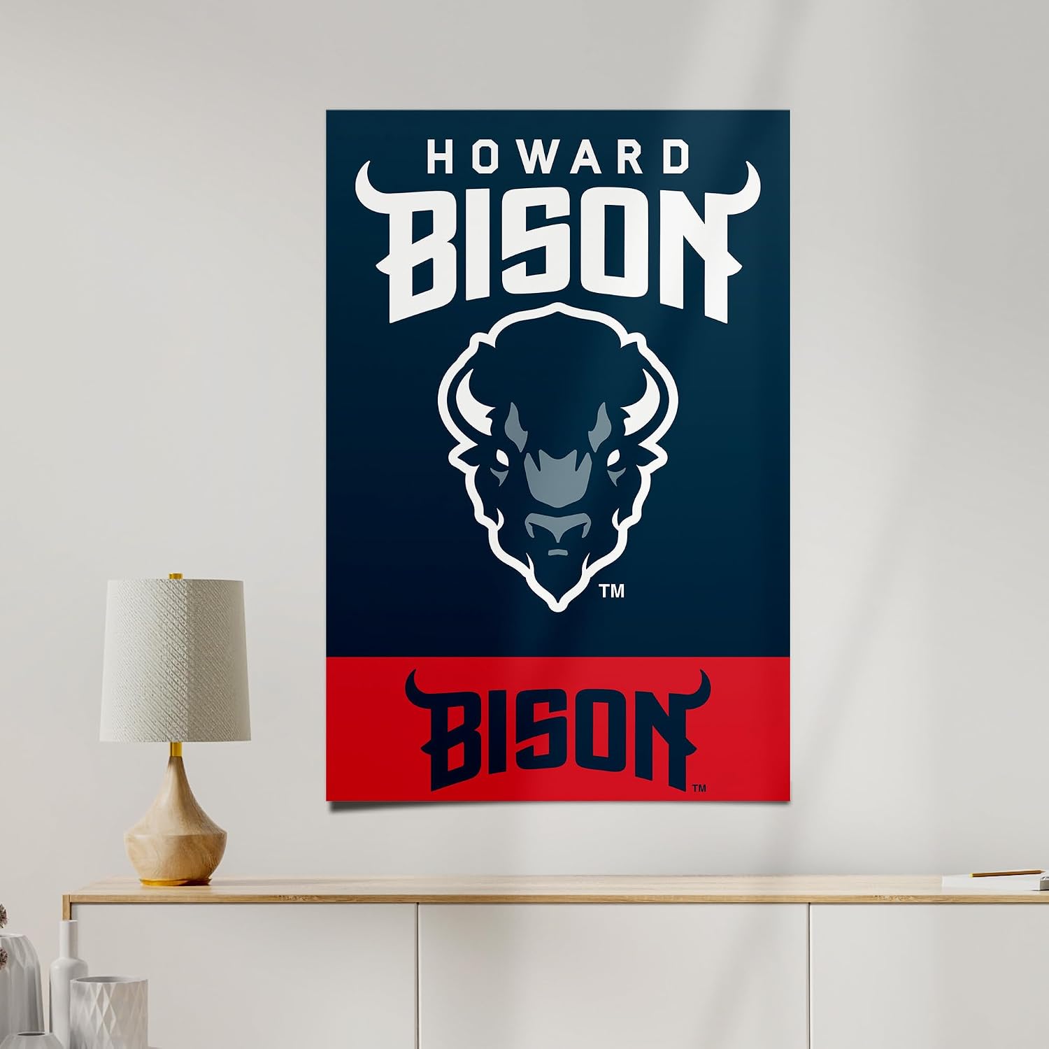Desert Cactus Howard University Poster HU Bison 11 x 17 Inch Room Office Décor Decoration Official Fan Gear (11x17 inch,Version 1A)