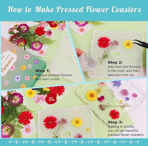 Miniatura 5 de Caja mixta de flores secas prensadas para resina al azar, con 1 pinzas, flores mixtas secas naturales y reales, kit de hierbas a granel para álbumes