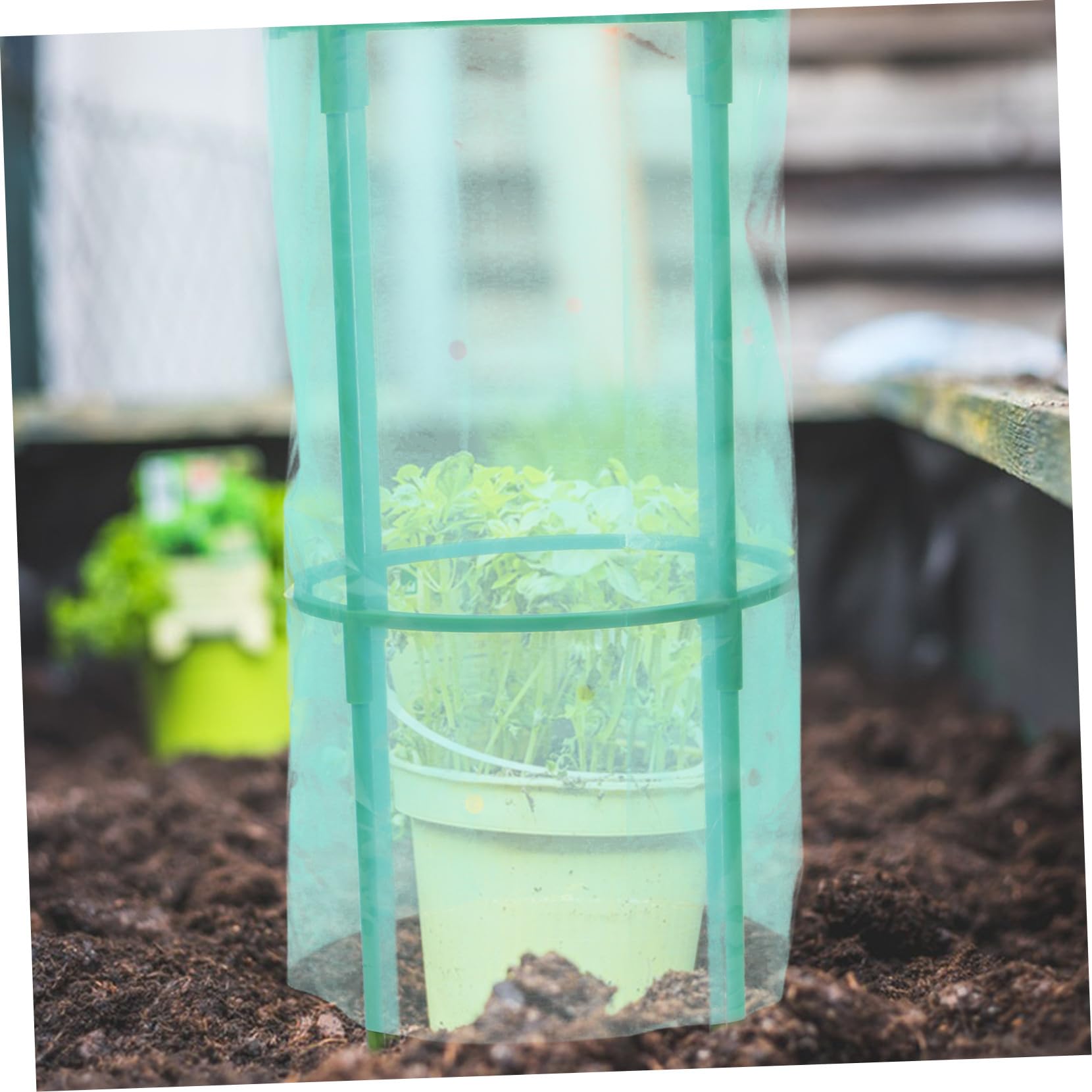 Copripiante da Giardino 2 Pezzi in Plastico Verde per Protezione Invernale | Aiuole Rialzate e Fiori, Copertura Contro Freddo e Gelo, Balconi e Casa