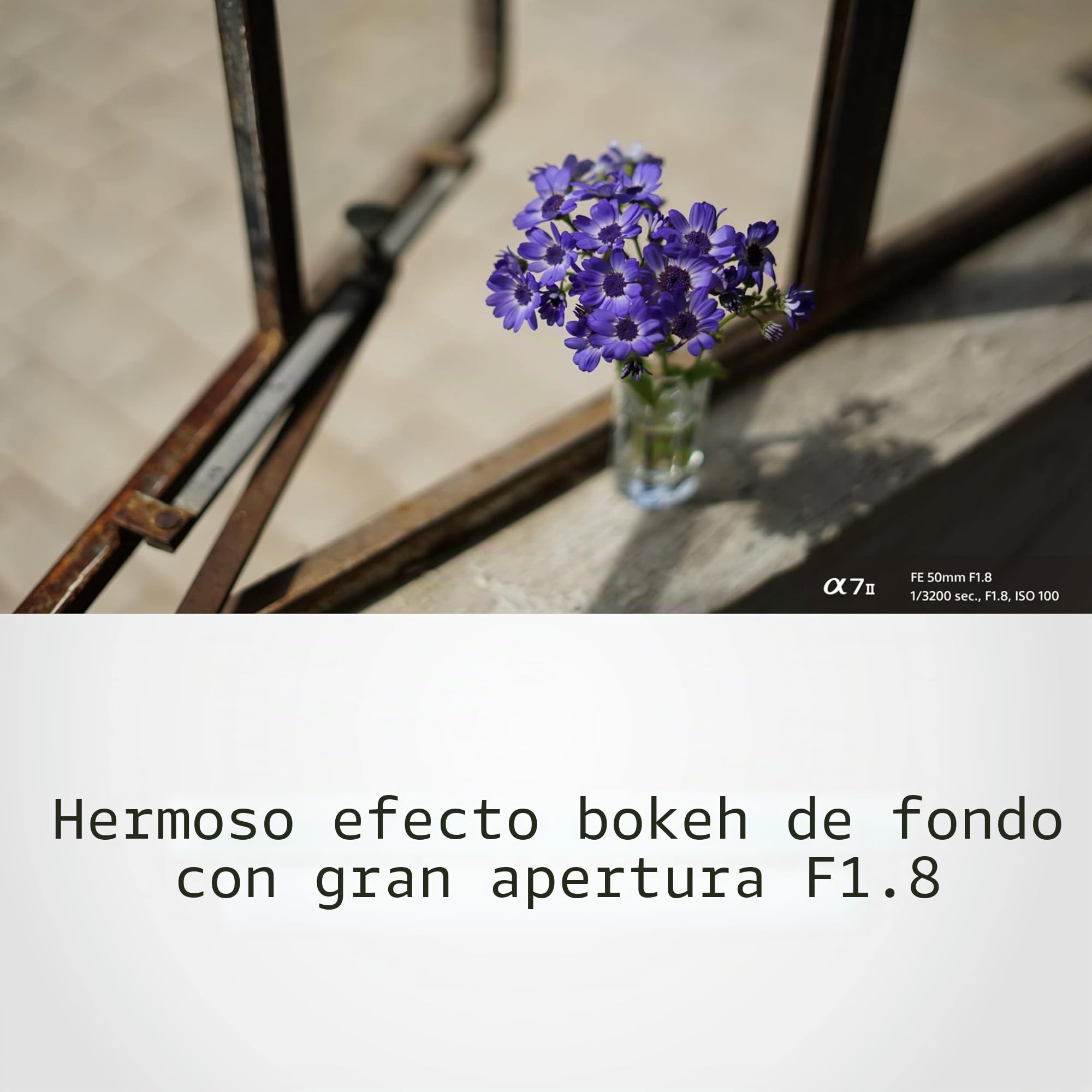 Sony SEL50F18F Lente distancia focal fija 50 mm F1.8 para Full Frame & APS-C, luminoso con autofoco silencioso, montura E, Ideal para retratos (compatible con serie A7, ZV-E10, A6400, A6700), Negro