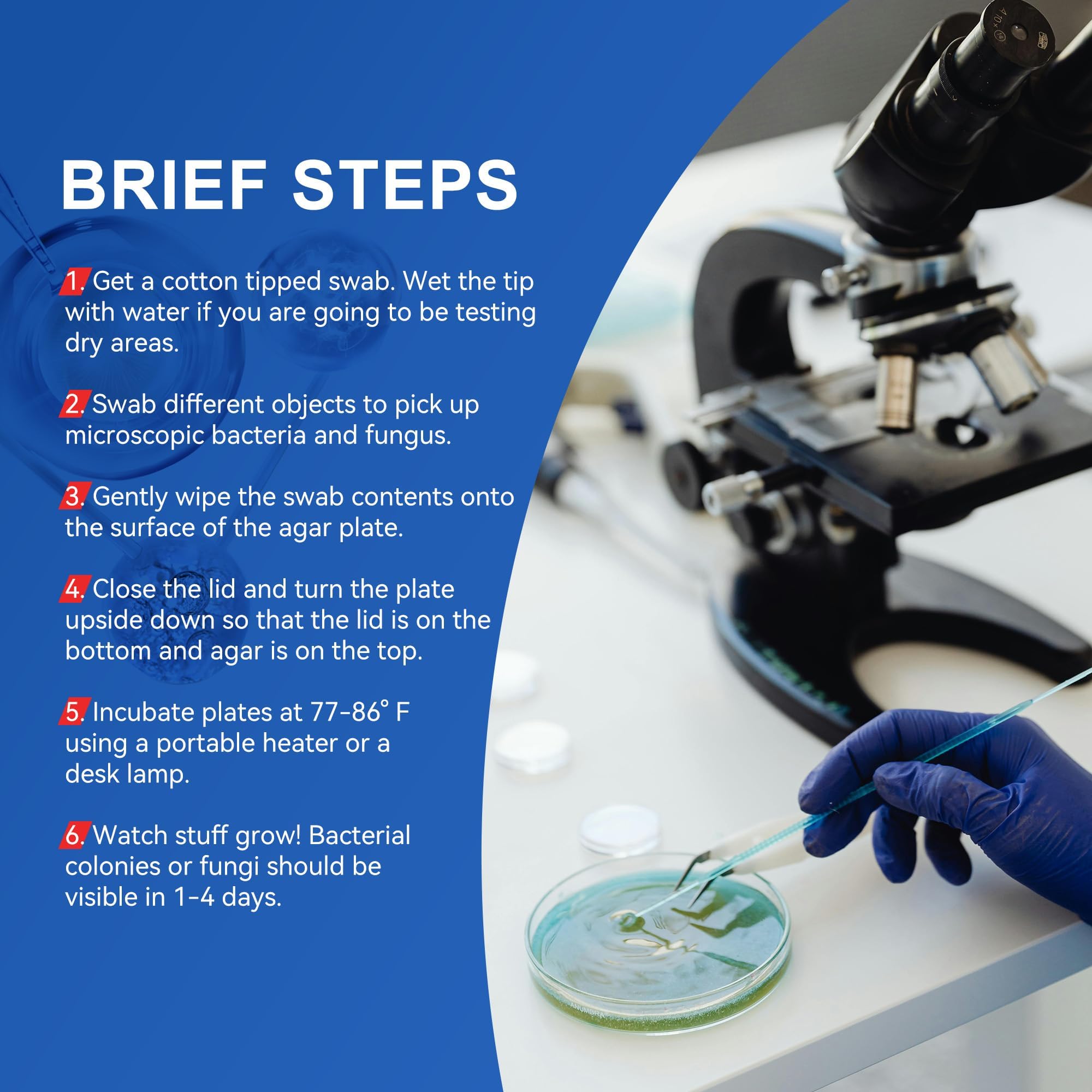 Wissenschaftliches Projekt-Kit für Nährstoff-Agar Teller und Wattestäbchen für wissenschaftliche Experimente | Bakterienwissenschafts-Set, separat versiegelt (30)