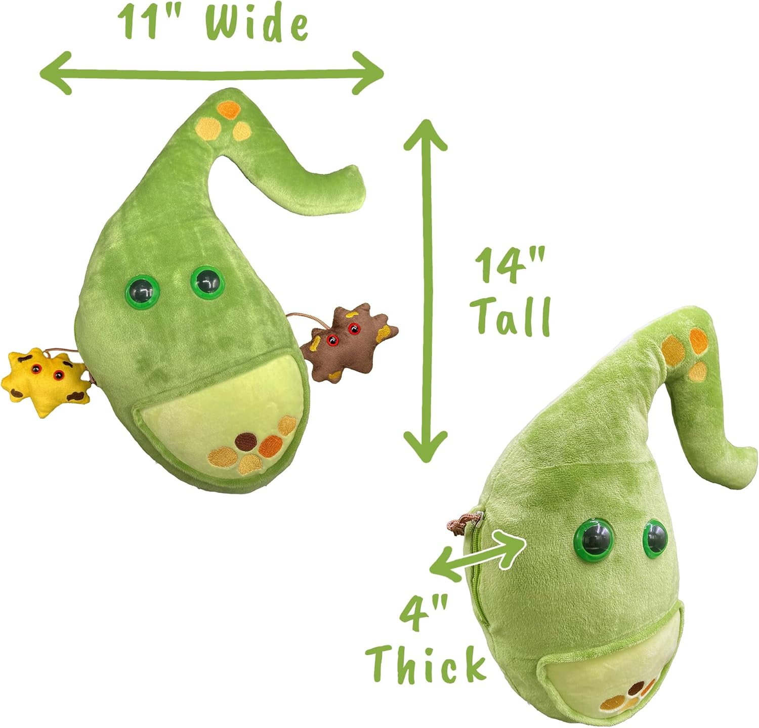 GIANT MICROBES Deluxe 14" Gallbladder Plush with Gallstones, Biology Stuffed Animal, Gallbladder Surgery Recovery Gifts, Gastroenterology Gifts, Get Well Gift, After Surgery Must Haves - Image 4