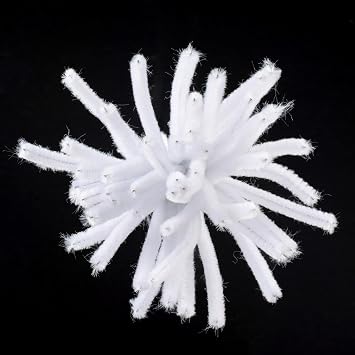 Vaessen Creative Pipe Cleaners For Crafts | 8 mm x 30 cm | 50 Pieces, Synthetic Fiber, White, 30 x 0.8 x 0.1 cm