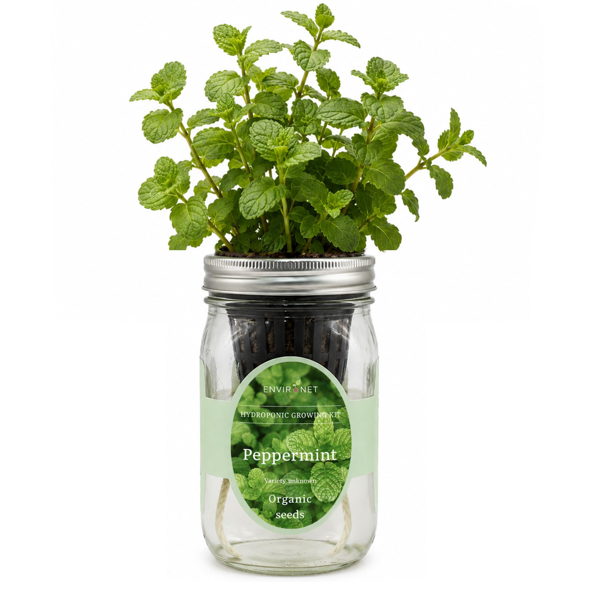 Kit per la coltivazione di erbe idroponiche, kit per la coltivazione di erbe aromatiche da giardino con vaso autoirrigante, per coltivare le tue erbe dai semi (menta piperita)