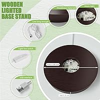 Vista 2 de Base de luz LED de madera para acrílico, resina, cristal, arte de vidrio, soporte de esfera de cristal USB de 7 ciclos de color, soporte