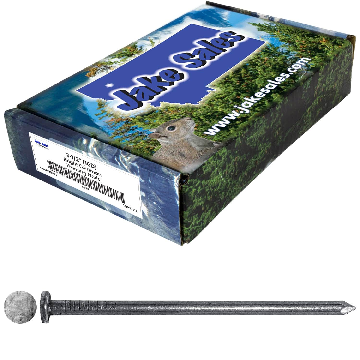 3-1/2 Inch Bright Common Nail (16D) 5 pounds ~235 Nails. Good for general construction projects