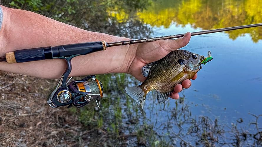 Review Image by UltraLiteFisherman