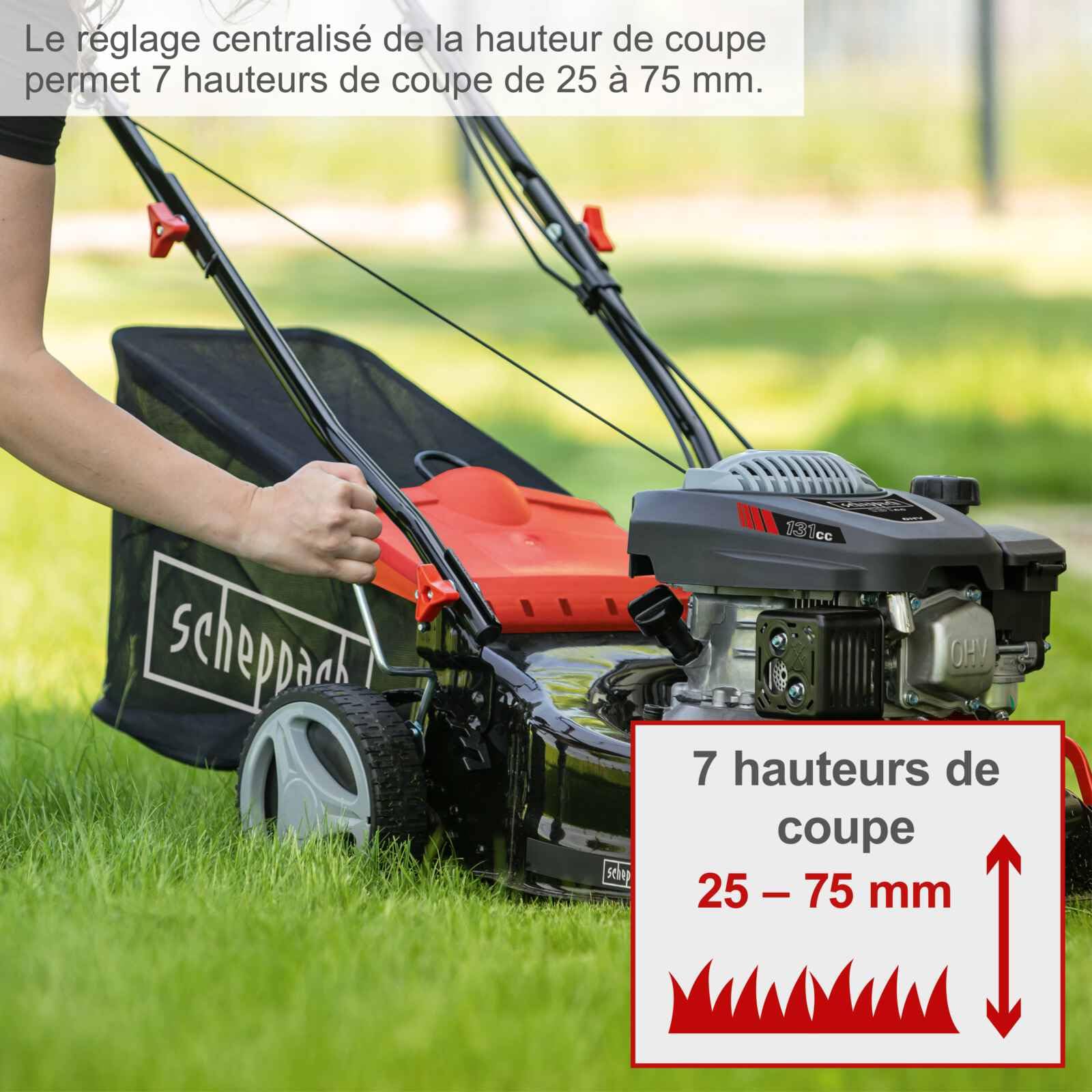 Scheppach Tondeuse à Gazon Thermique MS132-42 |3,4 CV