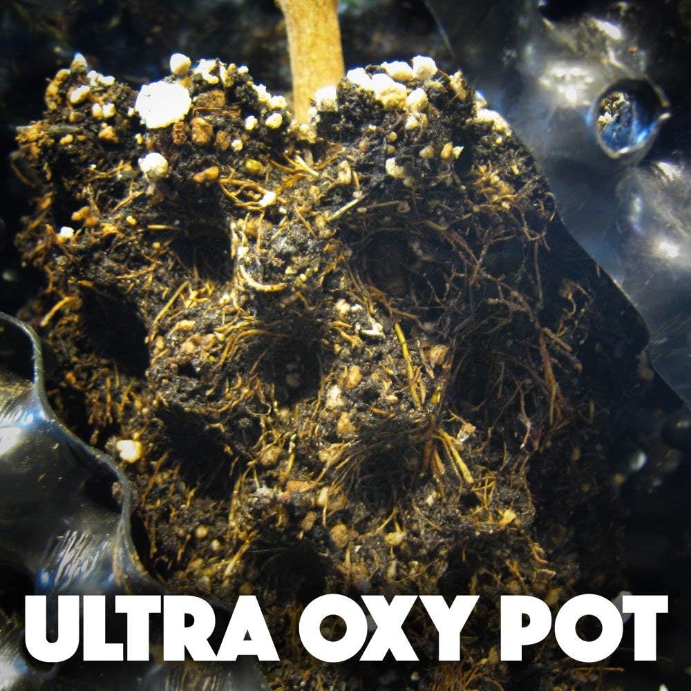 5-Pack Ultra Oxy Pot 5.5 Gallon Super Air-Pruning Planter (5 Pots)
