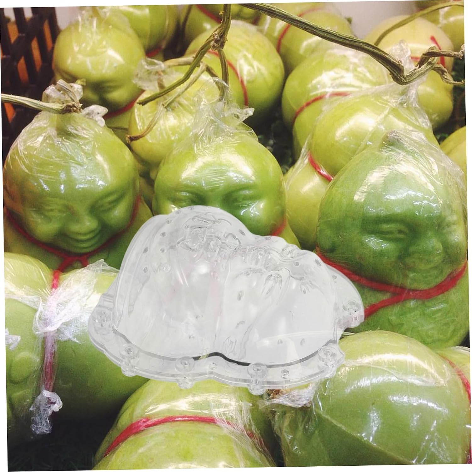 TOYANDONA 2pcs Fruit Shaping Molds Vegetable Mold for Boys and Girls Adorable Melon Shaping