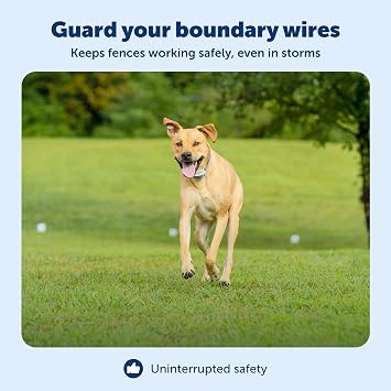 PetSafe Surge Protector for Pet Fences - Surge Protection Device - Electrical Protector - Durable Pet Fence Kit - Easy Installation - Fence Guard for Dogs - Outdoor Training Tool