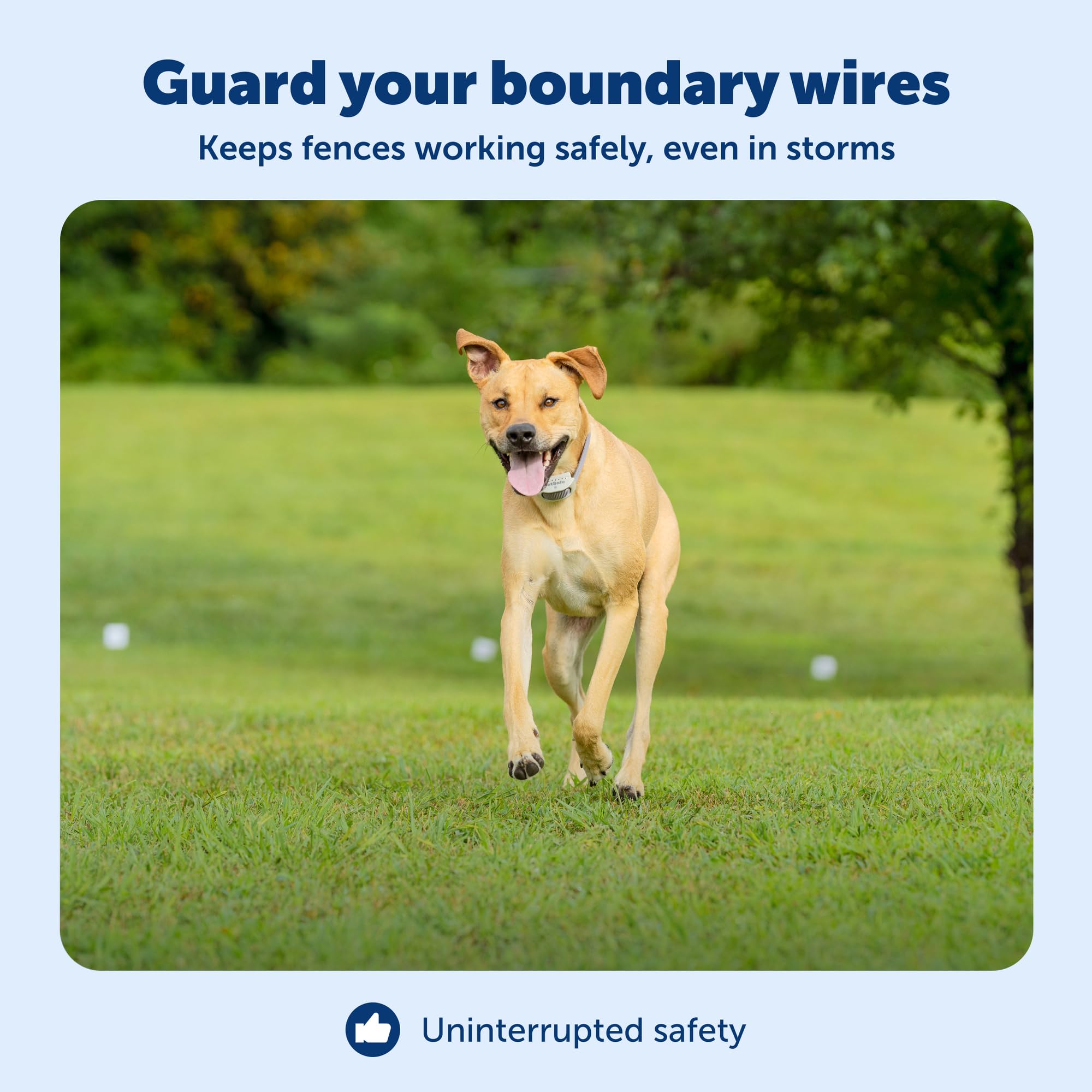 Amazon.com : PetSafe Surge Protector for Pet Fences, In-Ground