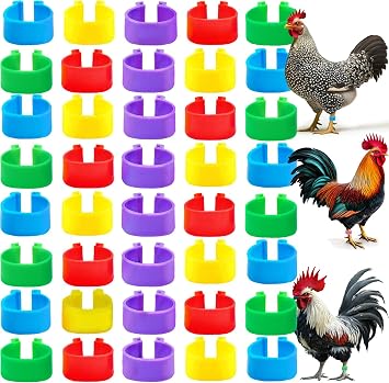 RONDURE Chicken Leg Bands Poultry Tags for Legs DIY Numbered Chicken Ankle Bands for Easy Identification - 100PCS 5 Colors