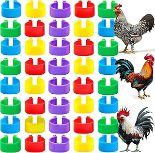 RONDURE Chicken Leg Bands Poultry Tags for Legs DIY Numbered Chicken Ankle Bands for Easy Identification - 100PCS 5 Colors