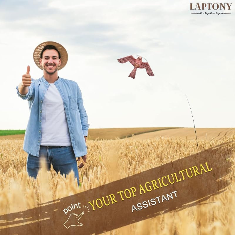 Laptony Madárriasztó Sárkány Kerti Farmvédelem Ragadozó Madár Elriasztó