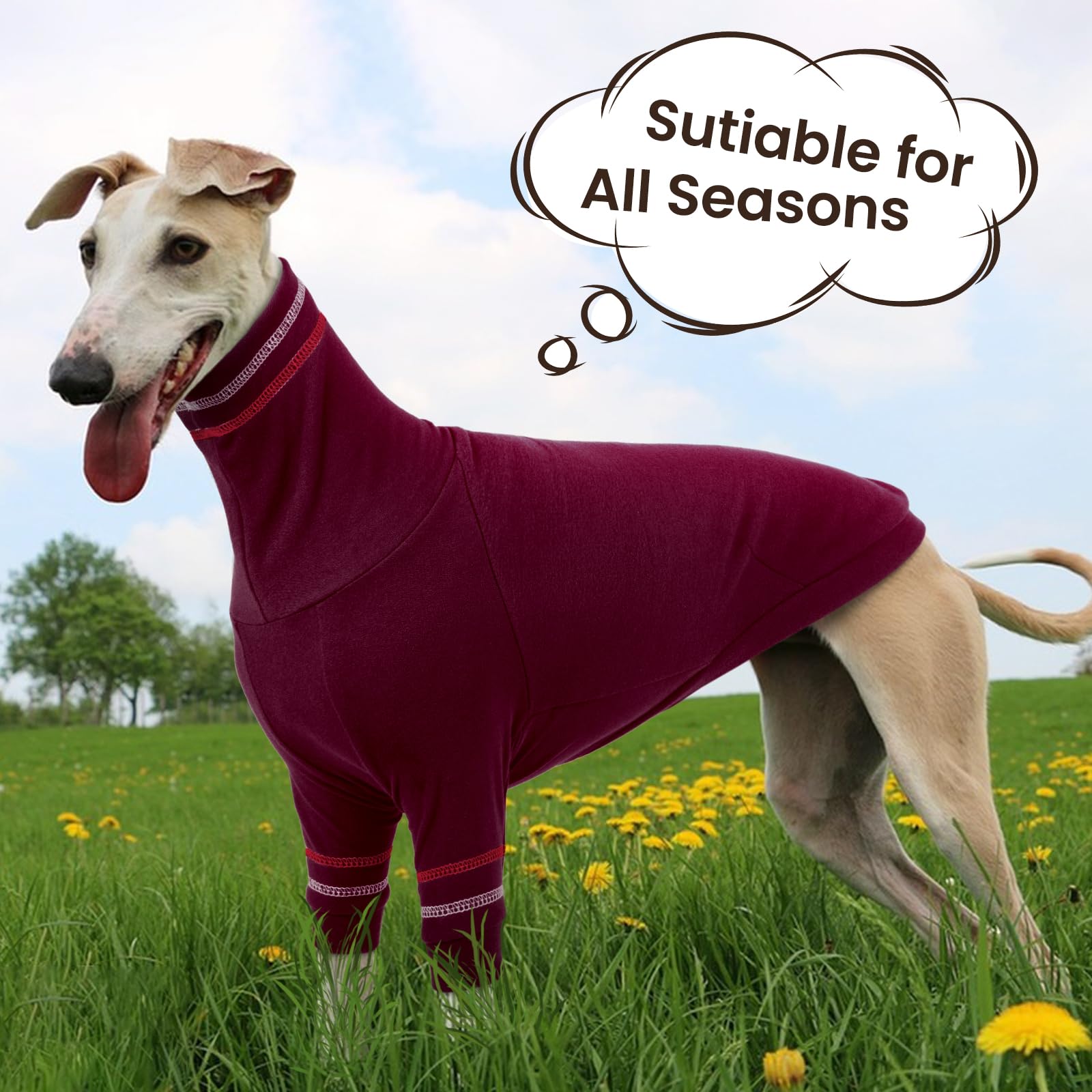 Suéter para perro de galgo, abrigo italiano para perros pequeños, sudadera de punto elástico con cuello alto, talla XS